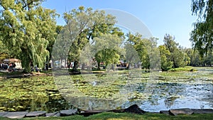 Toronto Islands park view in summer