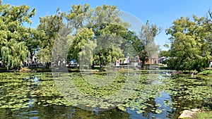 Toronto Islands park view in summer