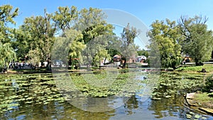 Toronto Islands park view in summer