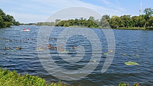 Toronto Islands park view in summer