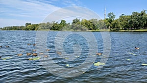 Toronto Islands park view in summer