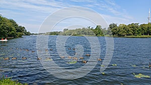 Toronto Islands park view in summer