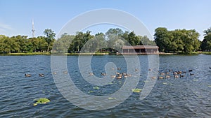 Toronto Islands park view in summer