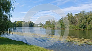 Toronto Islands park view in summer