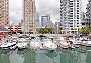 Toronto Marina photo