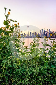 Toronto, Ontario - August 4, 2019 : The Toronto skyline seen from Centre Island