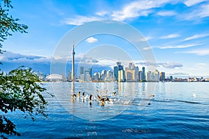 Toronto Skyline