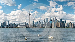 Toronto Skyline and Lake Ontario in Summer, Toronto, Ontario, Canada