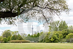 Toronto skyline with modern tall financial buildings in the background. Resting in the park