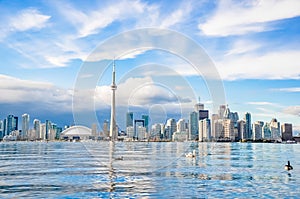 Toronto Skyline photo