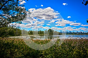 Toronto skyline from Tommy Thompson Park photo