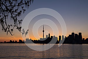 Toronto Sunset Silhouette with part of a tree on the left and co