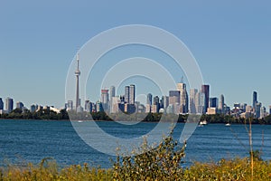 Toronto from Tommy Thompson