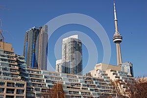 Toronto from waterfront