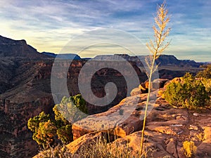 Toroweap overlook of Grand Canyon National Park, North Ridge photo