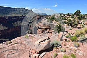 Toroweap Overlook in the Grand Canyon. photo