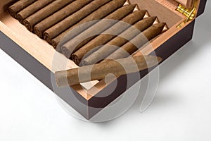 Torpedo cigar with humidor