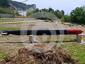 Torpedo set in grounds