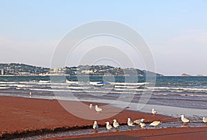 Torquay across Torbay in Devon