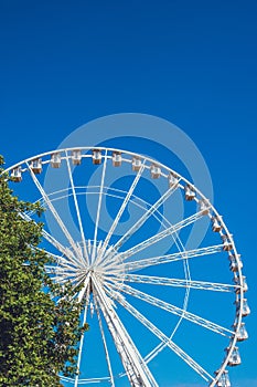 Torquay close up of wheel