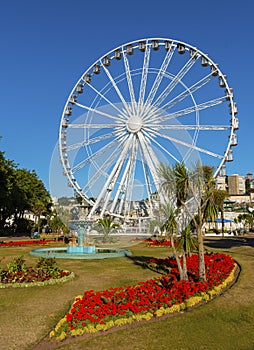 Torquay Eye