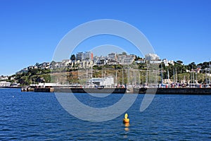 Torquay Harbour