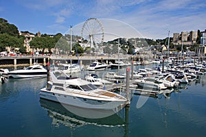 Torquay Harbour