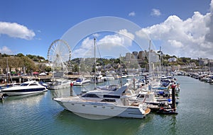 Torquay Harbour, Devon