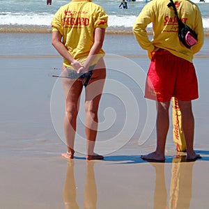 Torquay beach lifeguards