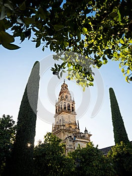 Torre Campanario bell tower minaret in courtyard of Mezquita mosque catholic church Cathedral Cordoba Andalusia Spain