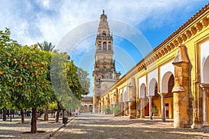 Torre Campanario and courtyard planted with orange trees in Cordoba photo