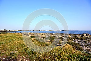 Torre Chianca porto cesareo Salento Italy