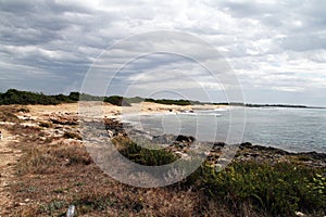 Torre colimena beach
