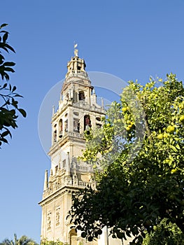 (Torre de Alminar in Mosque Cathedral, Mezquita de Cordoba. Anda