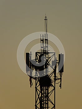 Torre de telefonia com um ninho de pÃÂ¡ssaro photo
