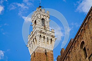 Torre del Mangia, Siena, detail