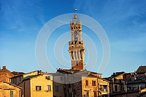 Torre del Mangia in Siena - Tuscany Italy