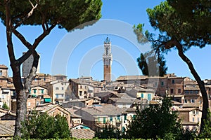 Torre del Mangia tower