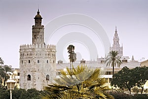 Torre del Oro and Giralda