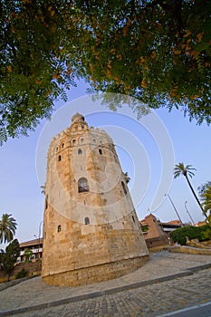 Torre del Oro, Sevilla, AndalucÃ­a, Spain photo