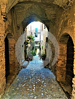 Torre di Palme town in Marche region, Italy. Narrow path, plants,, arches, history and time