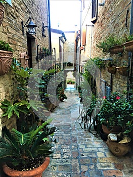 Torre di Palme town in Marche region, Italy. Nature, secret and street to Paradise