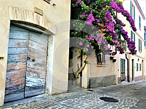 Torre di Palme town in Marche region. Italy. Purple bougainville, ancient azure door and beauty