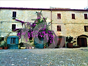 Torre di Palme town in Marche region. Italy. Purple bougainville, ancient azure door and beauty photo