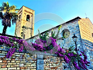 Torre di Palme town in Marche region. Italy. Tower, church and splendid bougainville