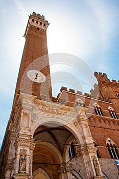 Torre Mangia in Siena