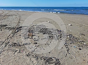 Torre Mileto - Particolare della spiaggia photo