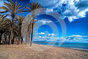 Torremolinos beach and palm trees Costa del Sol Spain photo