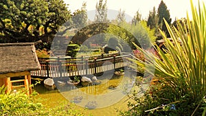 Torremolinos-Botanic Gardens-MOLINO DEL INCA- photo