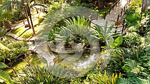 Torremolinos-Botanic Gardens-MOLINO DEL INCA- photo